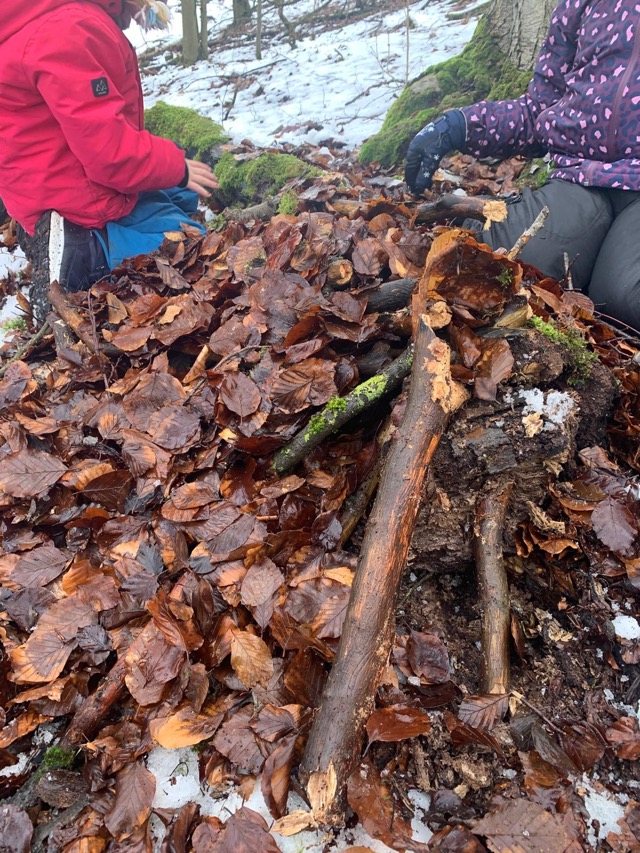 2026 02 10 Waldtag 9