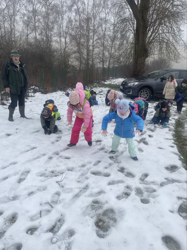 2026 02 11 Waldtag 10