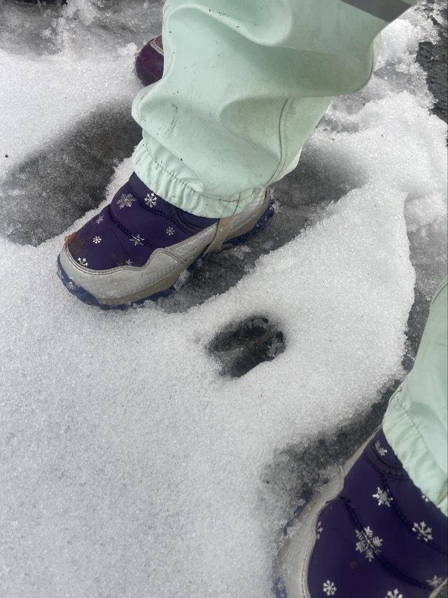 2026 02 11 Waldtag 12