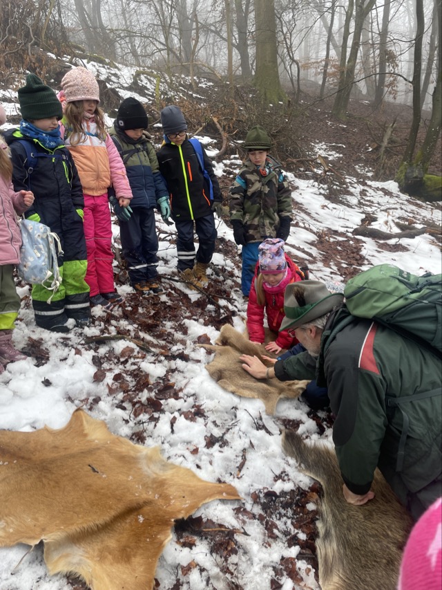 2026 02 11 Waldtag 21