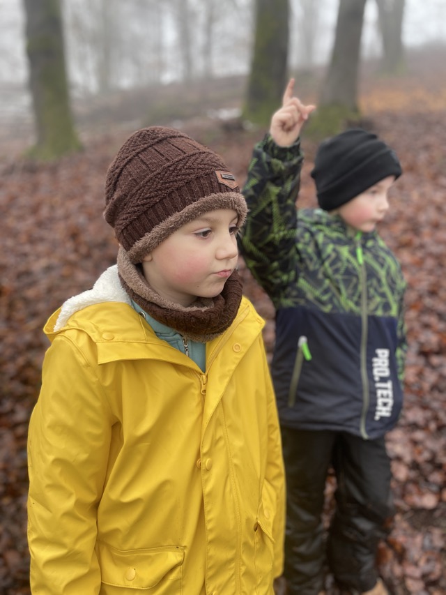 2026 02 11 Waldtag 29