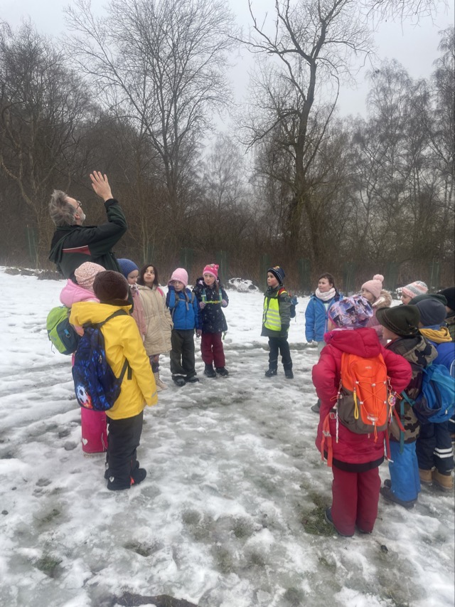 2026 02 11 Waldtag 3