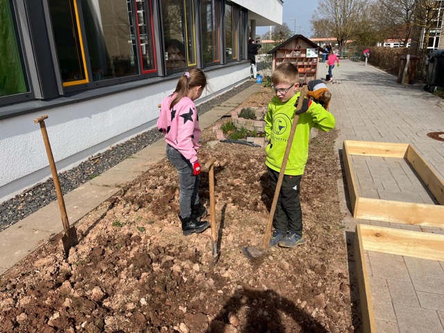 2026 03 27 Gemüseacker 06