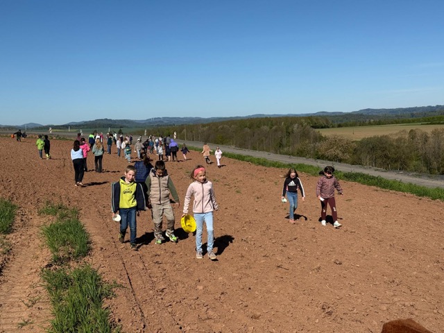2026 04 29 Blühstreifen 01
