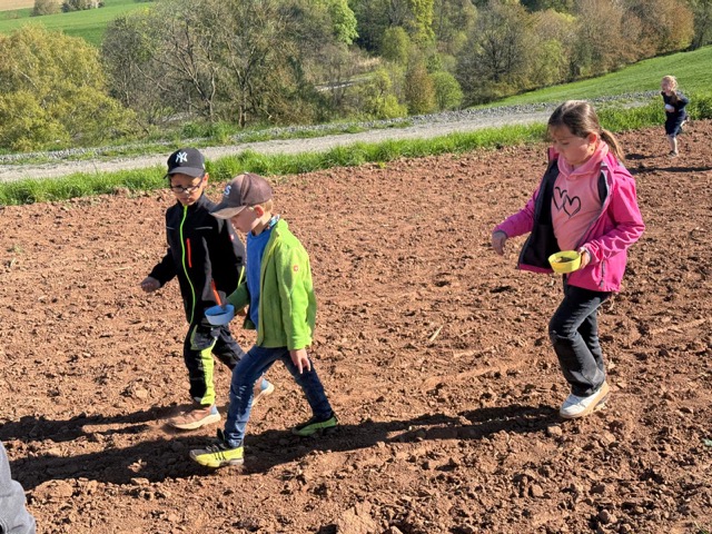 2026 04 29 Blühstreifen 08