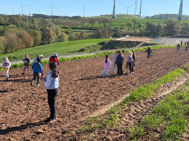 2026 04 29 Blühstreifen 09