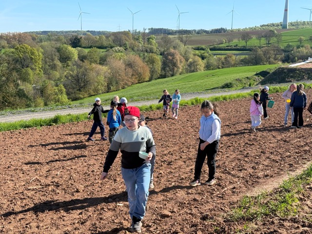 2026 04 29 Blühstreifen 10