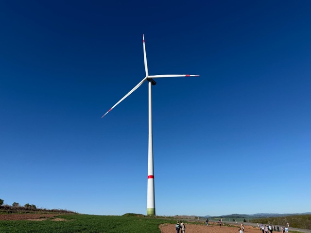 2026 04 29 Blühstreifen 12