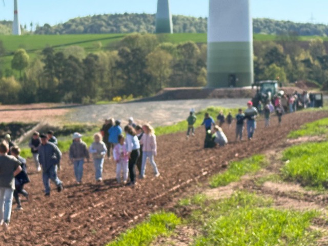 2026 04 29 Blühstreifen 13