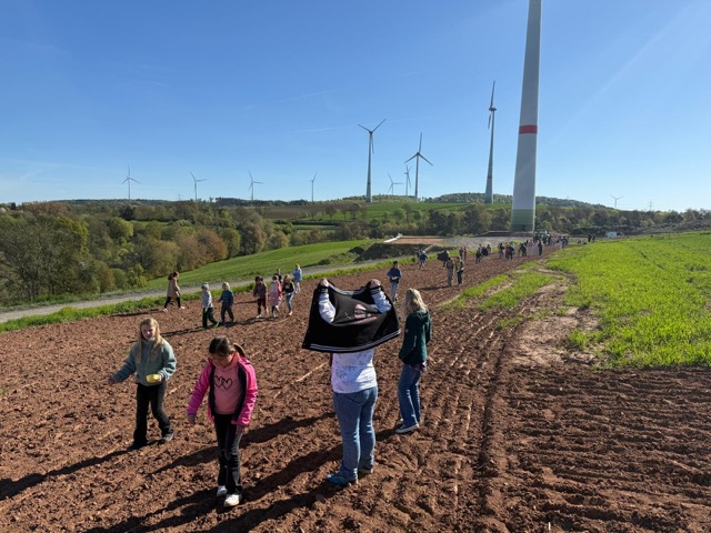 2026 04 29 Blühstreifen 15