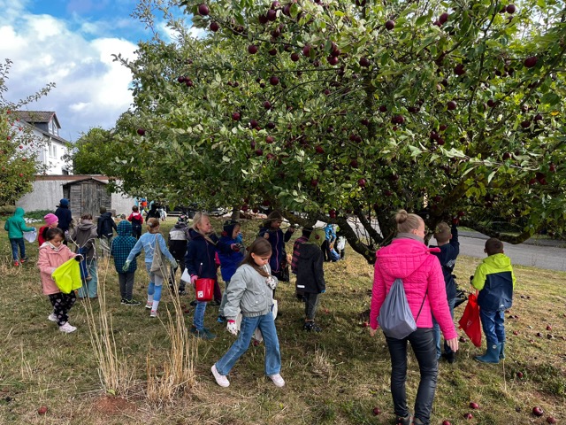 PHOTO 2025 09 16 17 43 041