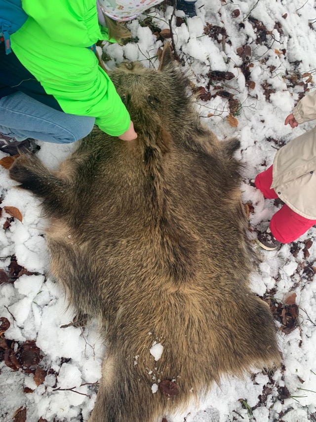 2026 02 10 Waldtag 15