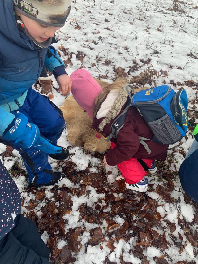 2026 02 10 Waldtag 16