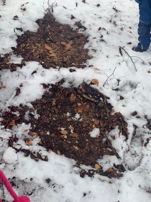 2026 02 10 Waldtag 2