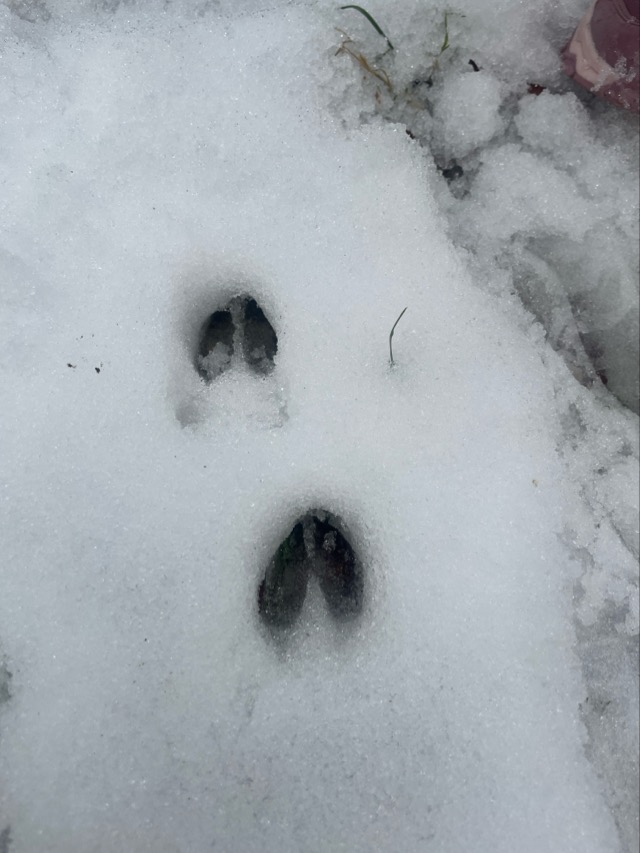 2026 02 11 Waldtag 13