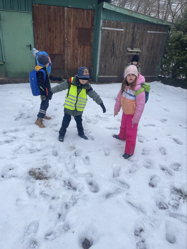 2026 02 11 Waldtag 16