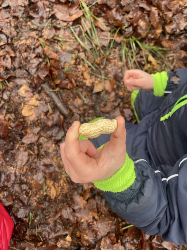 2026 02 11 Waldtag 27