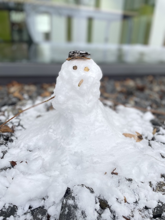 30 01 2026 Schneevergnügen 26