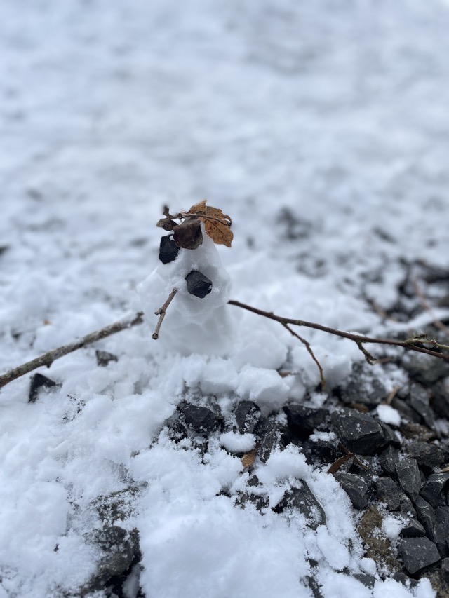 30 01 2026 Schneevergnügen 27