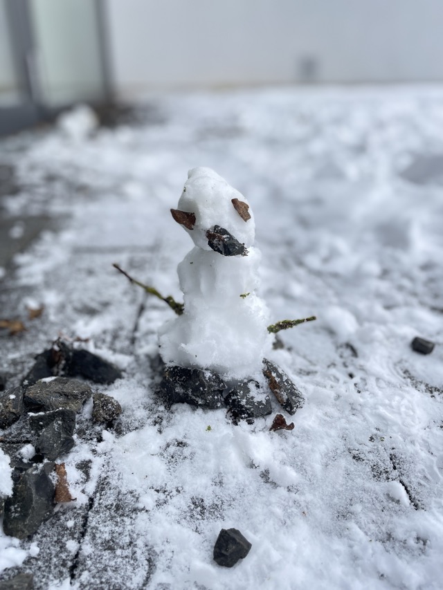 30 01 2026 Schneevergnügen 28