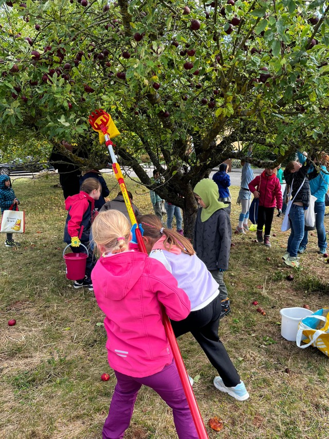 PHOTO 2025 09 16 17 43 062